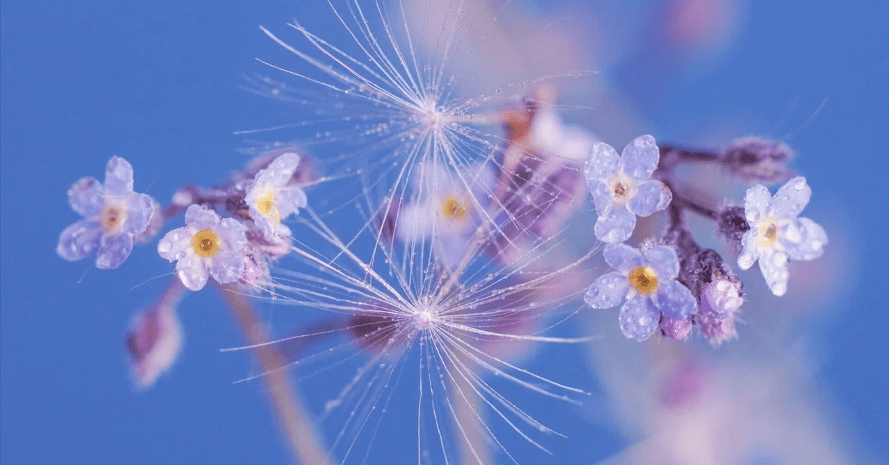 分水嶺の向こうにある春